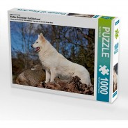 Preisvergleich für Puzzle: Puzzle CALVENDO Puzzle Weißer Schweizer Schäferhund - 1000 Teile Foto-Puzzle glückliche Stunden  Kinder