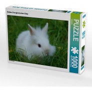 Preisvergleich für Puzzle: Puzzle CALVENDO Puzzle Weißes Zwergkaninchen Baby - 1000 Teile Foto-Puzzle glückliche Stunden  Kinder