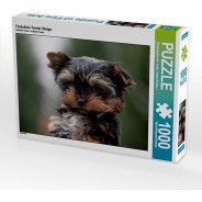 Preisvergleich für Puzzle: Puzzle CALVENDO Puzzle Yorkshire-Terrier Welpe - 1000 Teile Foto-Puzzle glückliche Stunden  Kinder