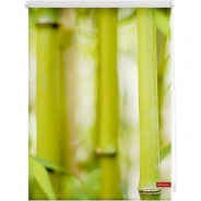 Preisvergleich für Heimtextilien: Rollo Klemmfix, ohne Bohren, blickdicht, Bambus - Grün grün Gr. 60 x 150