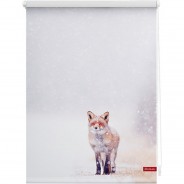 Preisvergleich für Heimtextilien: Rollo Klemmfix, ohne Bohren, blickdicht, Fuchs im Schnee - Weiß Rot weiß Gr. 80 x 150