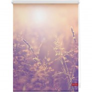 Preisvergleich für Heimtextilien: Rollo Klemmfix, ohne Bohren, blickdicht, Sommerabend - Orange orange Gr. 70 x 150