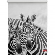 Preisvergleich für Heimtextilien: Rollo Klemmfix, ohne Bohren, blickdicht, Zebra - Schwarz Weiß schwarz/weiß Gr. 70 x 150