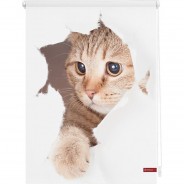 Preisvergleich für Heimtextilien: Rollo Klemmfix, ohne Bohren, Verdunkelung, Katze  - Weiß Braun weiß Gr. 100 x 150