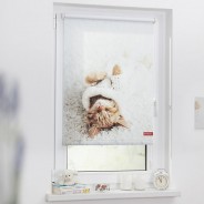 Preisvergleich für Heimtextilien: Rollo Klemmfix, ohne Bohren, Verdunkelung, Sleepy Cat  - Weiß weiß Gr. 45 x 150