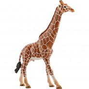 Preisvergleich für Sammel & Spielfiguren: Schleich Wild Life 14749 Giraffenbulle