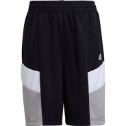 Preisvergleich für Hosen: Shorts B CB SHO D2M  (recycelt) schwarz/grau Gr. 164 Jungen Kinder