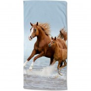 Preisvergleich für Heimtextilien: Strand- / Badetuch Free, 75X150 cm, Polyvelours/Frottier mehrfarbig Gr. 75 x 150