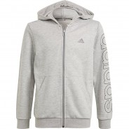 Preisvergleich für Oberteile: Sweatjacke B LIN FZ HD  hellgrau Gr. 116 Jungen Kinder