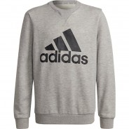 Preisvergleich für Oberteile: Sweatshirt B BL SWT  grau/schwarz Gr. 104 Jungen Kleinkinder