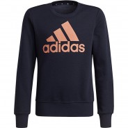 Preisvergleich für Oberteile: Sweatshirt BL SWT  dunkelblau Gr. 152 Mädchen Kinder