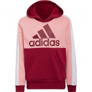 Preisvergleich für Oberteile: Sweatshirt CB FL  rosa/rot Gr. 152 Jungen Kinder