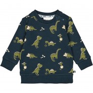 Preisvergleich für Oberteile: Sweatshirt Dinos grün Gr. 62 Jungen Kinder
