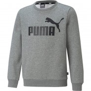 Preisvergleich für Oberteile: Sweatshirt ESS FL  grau Gr. 152 Jungen Kinder