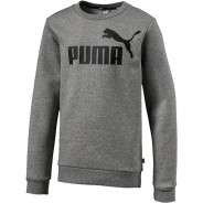 Preisvergleich für Oberteile: Sweatshirt ESS  grau Gr. 104 Jungen Kleinkinder