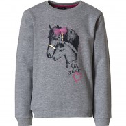 Preisvergleich für Oberteile: Sweatshirt  grau Gr. 104 Mädchen Kleinkinder