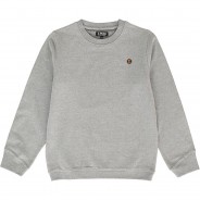 Preisvergleich für Oberteile: Sweatshirt  grau Gr. 152 Jungen Kinder