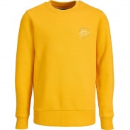 Preisvergleich für Oberteile: Sweatshirt JORJERRY  gelb Gr. 152 Jungen Kinder