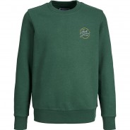Preisvergleich für Oberteile: Sweatshirt JORJERRY  grün Gr. 152 Jungen Kinder