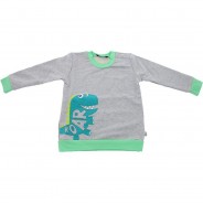 Preisvergleich für Oberteile: Sweatshirt Kinder grau Gr. 56  Kinder