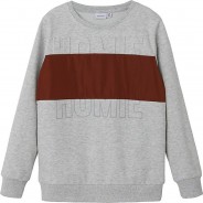 Preisvergleich für Oberteile: Sweatshirt NKMTESSO , Organic Cotton hellgrau Gr. 134/140 Jungen Kinder