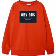 Preisvergleich für Oberteile: Sweatshirt NKMVION  rot Gr. 146/152 Jungen Kinder