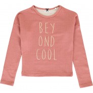 Preisvergleich für Oberteile: Sweatshirt  pink Gr. 164 Mädchen Kinder