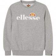 Preisvergleich für Oberteile: Sweatshirt Suprios grau Gr. 128/134 Jungen Kinder