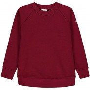 Preisvergleich für Oberteile: Sweatshirt Sweatshirts  dunkelrot Gr. 92 Jungen Kleinkinder