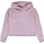 Preisvergleich für Oberteile: Sweatshirt  violett Gr. 134 Mädchen Kinder