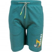 Preisvergleich für Hosen: Sweatshorts  grün Gr. 92 Jungen Kleinkinder