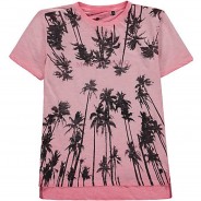 Preisvergleich für Oberteile: T-Shirt  apricot Gr. 122 Jungen Kinder