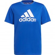 Preisvergleich für Oberteile: T-Shirt B BL T  blau/weiß Gr. 164 Jungen Kinder