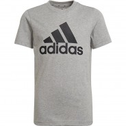 Preisvergleich für Oberteile: T-Shirt B BL T  grau/schwarz Gr. 116 Jungen Kinder