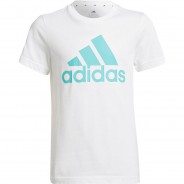 Preisvergleich für Oberteile: T-Shirt B BL T  hellblau/weiß Gr. 140 Jungen Kinder