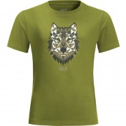 Preisvergleich für Oberteile: T-Shirt BRAND WOLF T K grün Gr. 128