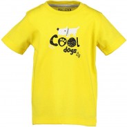 Preisvergleich für Oberteile: T-Shirt  gelb Gr. 98 Jungen Kleinkinder