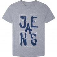 Preisvergleich für Oberteile: T-Shirt  grau Gr. 152 Jungen Kinder