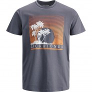 Preisvergleich für Oberteile: T-Shirt JJPALM  anthrazit Gr. 152 Jungen Kinder