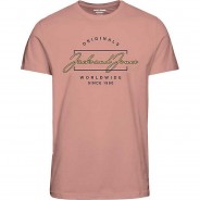 Preisvergleich für Oberteile: T-Shirt JORELDEN  pink Gr. 164 Jungen Kinder