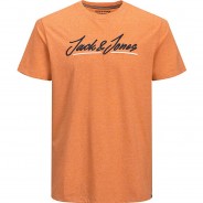 Preisvergleich für Oberteile: T-Shirt JORTONS  orange Gr. 176 Jungen Kinder