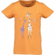 Preisvergleich für Oberteile: T-Shirt  orange Gr. 110 Mädchen Kleinkinder