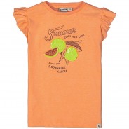 Preisvergleich für Oberteile: T-Shirt  orange Gr. 92/98 Mädchen Kleinkinder