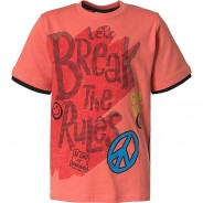 Preisvergleich für Oberteile: T-Shirt  orange-kombi Gr. 110 Jungen Kleinkinder