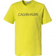 Preisvergleich für Oberteile: T-Shirt , Organic Cotton grün Gr. 152 Jungen Kinder
