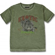 Preisvergleich für Oberteile: T-Shirt , Organic Cotton grün Gr. 176 Mädchen Kinder