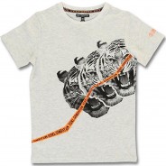 Preisvergleich für Oberteile: T-Shirt , Organic Cotton hellgrau Gr. 152 Jungen Kinder