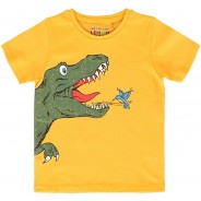 Preisvergleich für Oberteile: T-Shirt , Organic Cotton orange Gr. 98 Jungen Kleinkinder