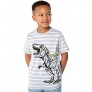 Preisvergleich für Oberteile: T-Shirt Regular fit , Dinosaurier von Blue Seven grau Gr. 92/98 Jungen Kleinkinder