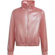 Preisvergleich für Jacken & Outdoorkleidung: Trainingsjacke  altrosa Gr. 170 Mädchen Kinder